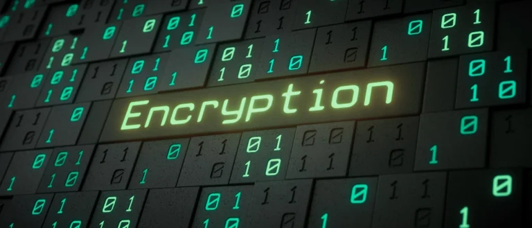 What Is Encryption and How Does It Protect You?